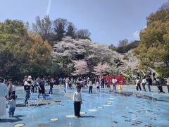 -杭州少年儿童公园