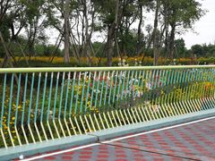 -白鹭湾湿地公园