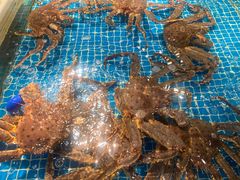 -驻海渔市(置信店)