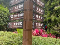 -野象谷景区