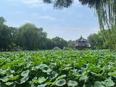 -莲池书院博物馆