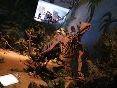 -自贡恐龙博物馆