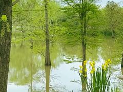 -上海共青森林公园