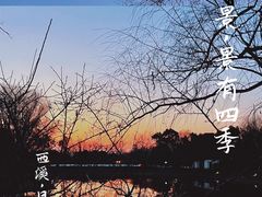 -西溪国家湿地公园