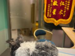 -雨林宠物医院 非犬猫异宠专科