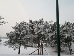 -华彬猛犸滑雪场