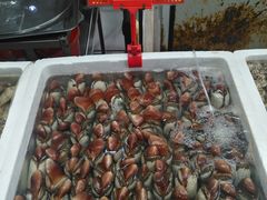 -蚝专家(北滘店)