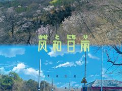 -阳台山自然风景区