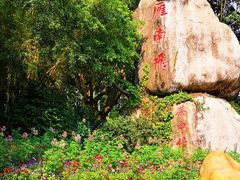 -雁南飞茶田景区