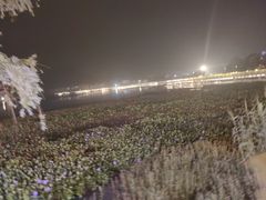 -鸣鹤古镇