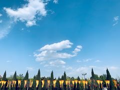 -大槐树寻根祭祖园
