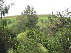 -怀托摩萤火虫洞