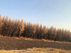 -塞罕坝国家级自然保护区