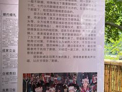 -西双版纳原始森林公园