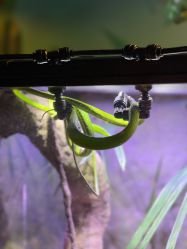 -酷嗒动物文化乐园(cutezoo西溪乐天城店)