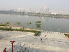 -飞来湖湿地公园