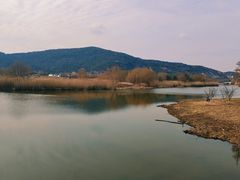 -长广溪湿地公园