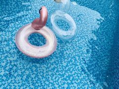 -美的鹭湖探索王国