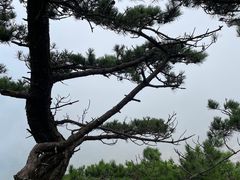 -安徽天堂寨风景区