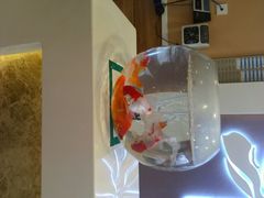 android_upload_pic-嘉和一品粥(马家堡店)