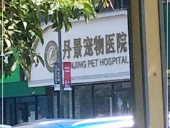-丹景宠物医院·全科·老年病·牙科(武昌诊疗中心)