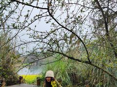 -桤木河湿地公园