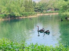 -长白岛森林公园