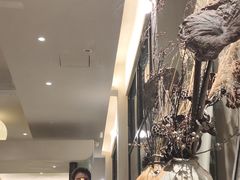 -东莞植物园