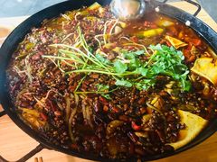 -鸿顺老铁锅美蛙鱼府(解放碑店)
