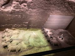 -秦始皇帝陵博物院(兵马俑)