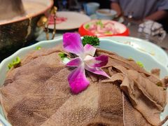 -额尔敦传统涮(公园西路店)