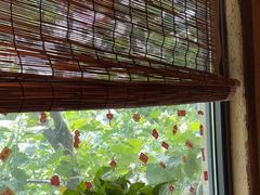 -泥糊破店小酒馆·团建聚餐(南京西路店)