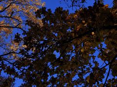 -帽儿山国家森林公园