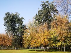 -大明宫国家遗址公园·御道广场