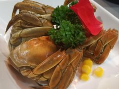 -月湖翠·上海菜(思南公馆淮海店)