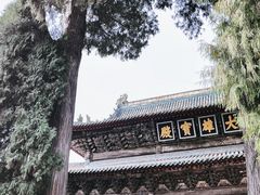 -报恩寺(平武县)