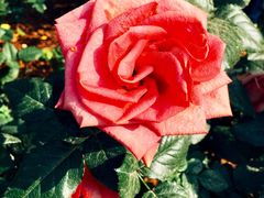 -人民公园(罗湖区)