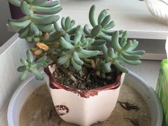 -中油泰富国际酒店-中餐厅