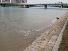 -五缘湾湿地公园