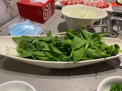 -海底捞火锅(公益西桥店)