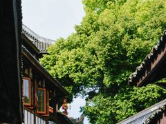 -黄龙溪古镇