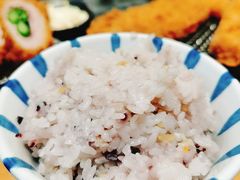 -胜博殿日式炸猪排(悠唐店)