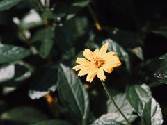 -火炉山森林公园