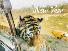 -西安秦岭野生动物园