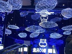 -盒马X会员店(上海森兰商都店)