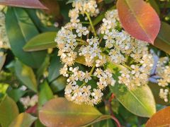 -杭州文化广播电视集团