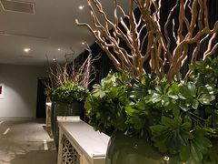 -春晖园度假酒店温泉