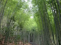 -苏州环秀晓筑养生度假村