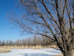 -野鸭湖国家湿地公园