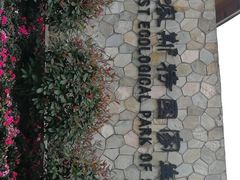 -山王坪喀斯特国家生态公园